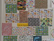 Finde das Chamäleon