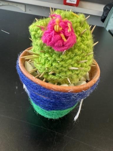 TTG 5./6. Klasse - März 2026