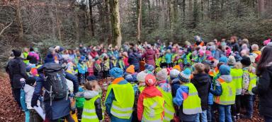 Adventssingen beim Stärneried